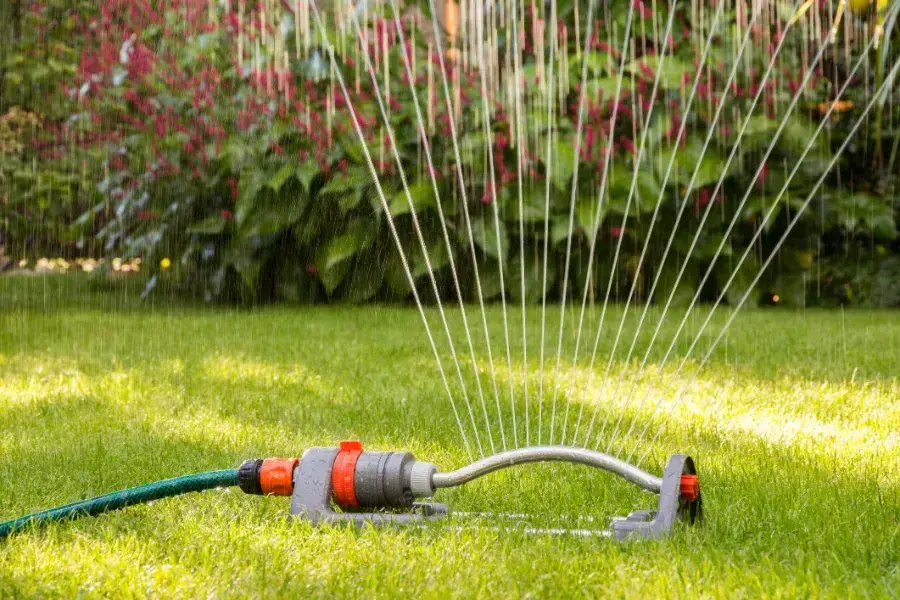 How Long Should You Water Your Lawn in Amherstburg, ON How Long Should You Water Your Lawn in Amherstburg, ON