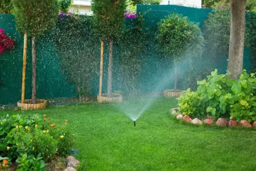 How Long Should You Water Your Lawn in Amherstburg, ON1 How Long Should You Water Your Lawn in Amherstburg, ON1