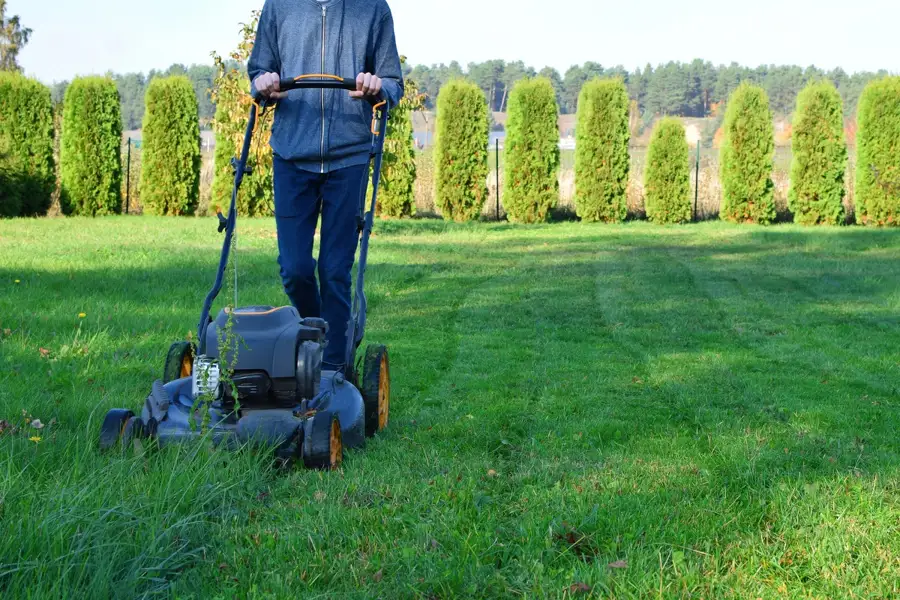 Lawn Care Tips in Amherstburg, ON1 Lawn Care Tips in Amherstburg, ON1